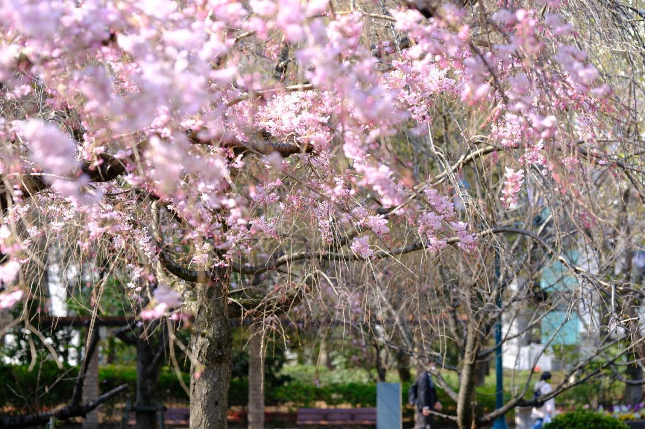 Hotel Trusty Premier Nihonbashihamacho Tokyo Bagian luar foto